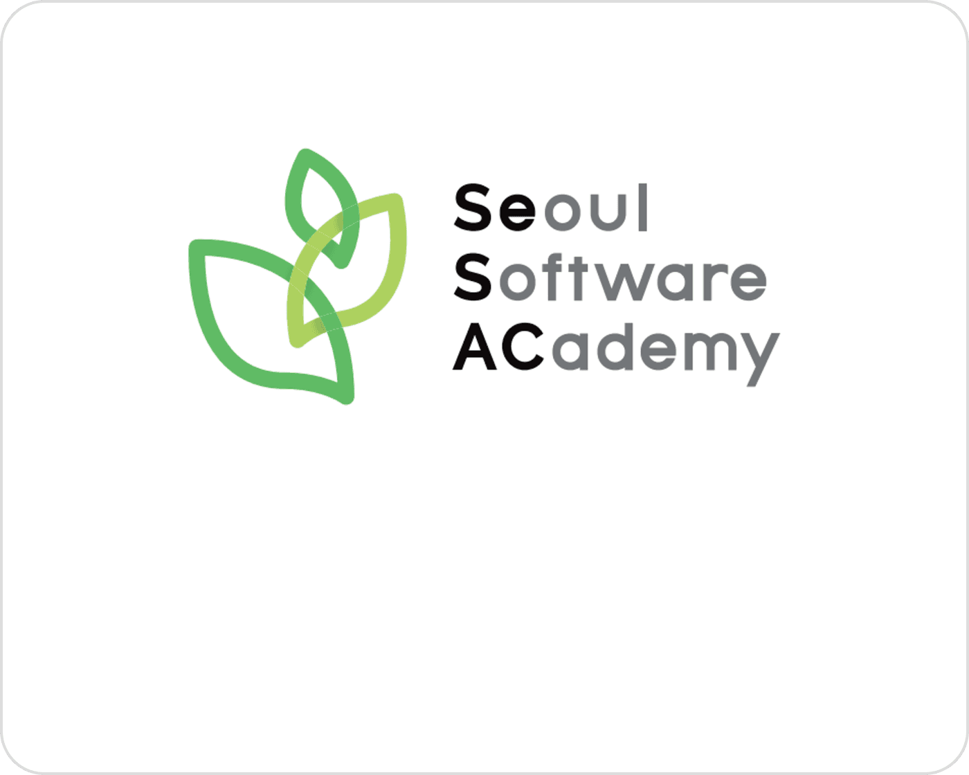 Seoul Software Academy